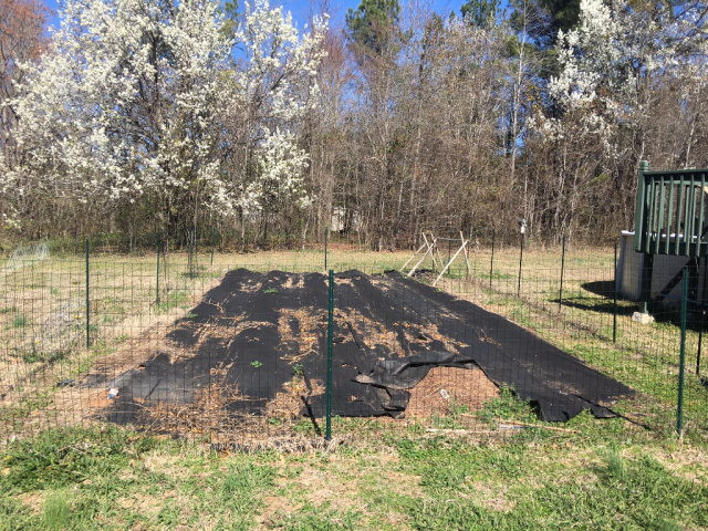 1552 Clary Cut Road Harlem, GA 30814 - Photo 36 of 37 Gargen area.