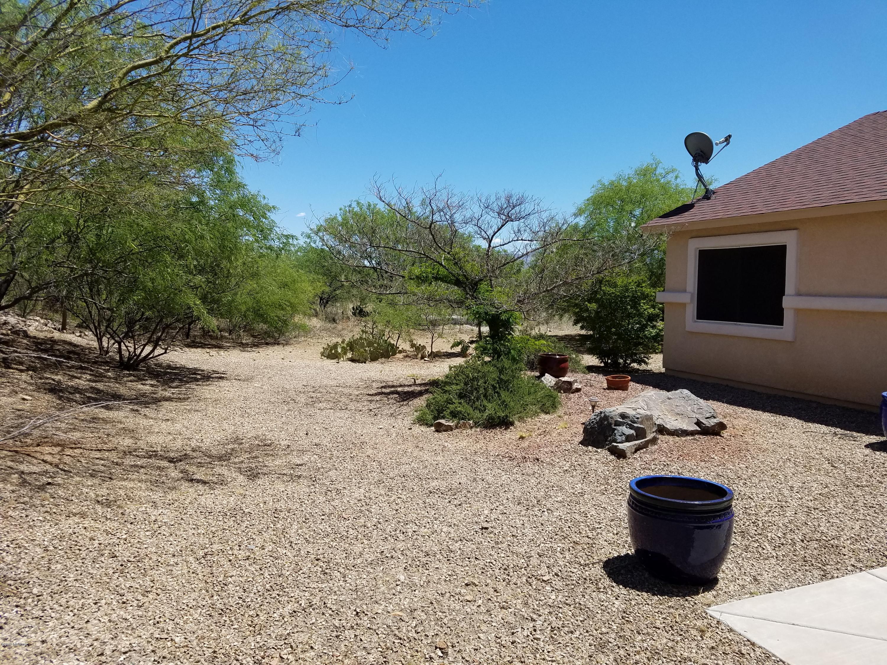 1175 Avenida Leon Rio Rico, AZ 85648 - Photo 4 of 24 a view of a backyard with plants and a tree