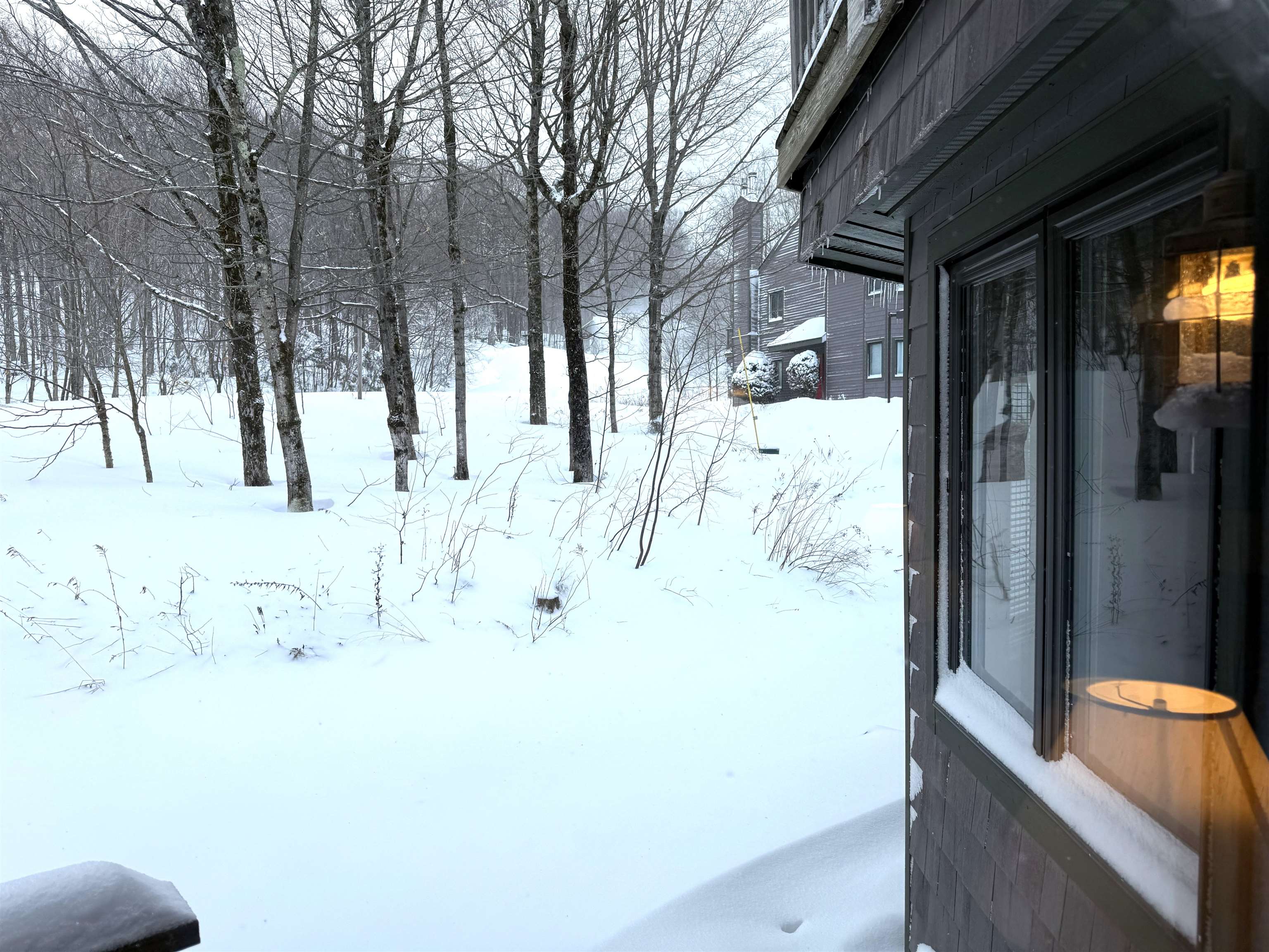 334 Slopeside Road, Unit 4002 Jay, VT 05859 - Photo 18 of 20