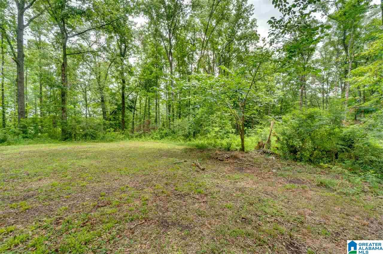 2995 County Road 77 Clanton, AL 35045 - Photo 37 of 50