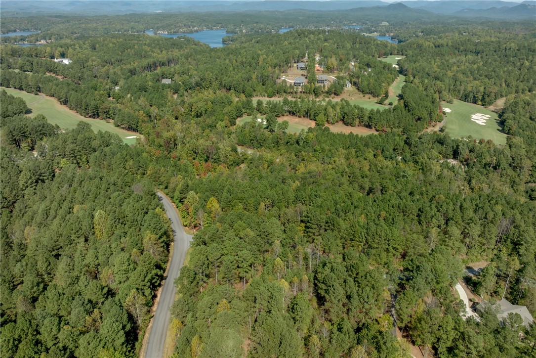 Lot 28 Spring Cove Way Six Mile, SC 29682 - Photo 11 of 17