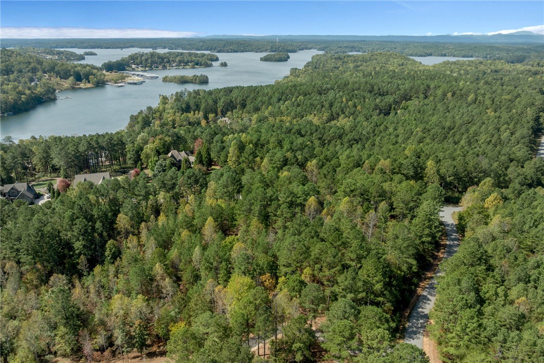 Lot 28 Spring Cove Way Six Mile, SC 29682 - Photo 13 of 17