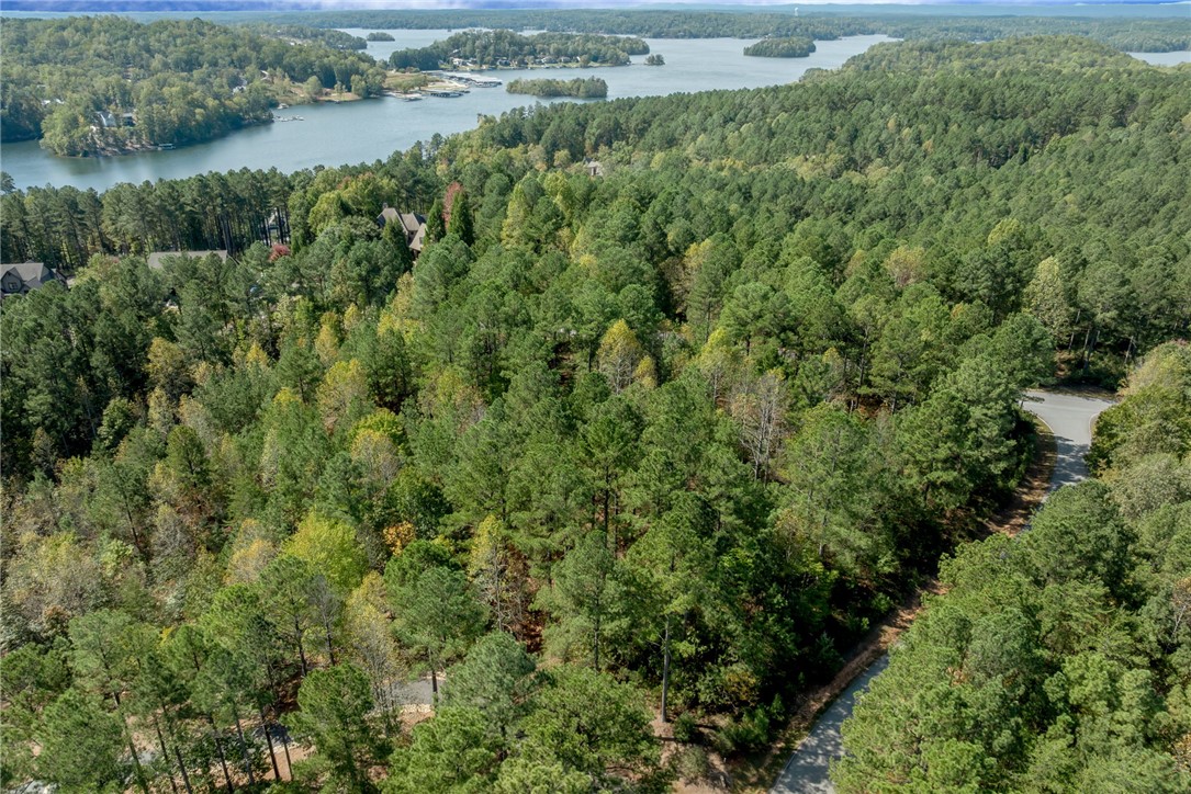 Lot 28 Spring Cove Way Six Mile, SC 29682 - Photo 14 of 17