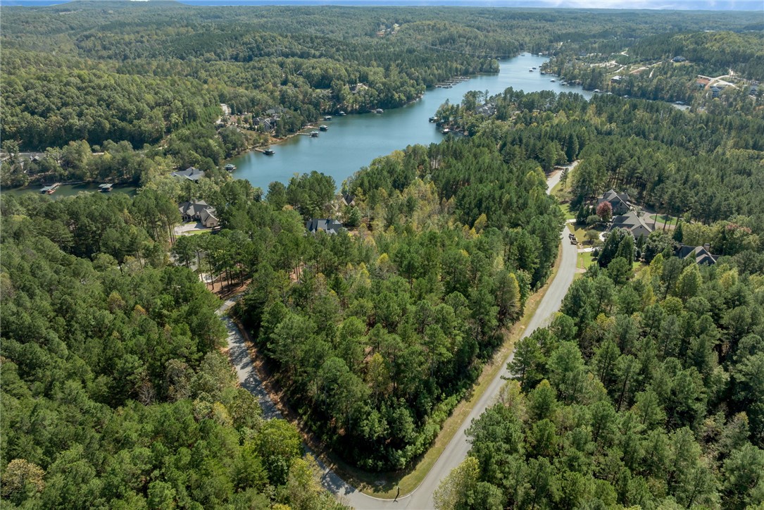 Lot 28 Spring Cove Way Six Mile, SC 29682 - Photo 15 of 17