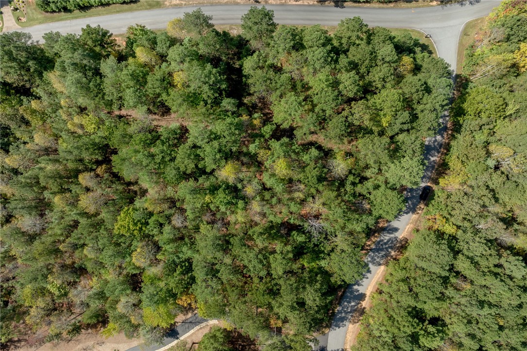 Lot 28 Spring Cove Way Six Mile, SC 29682 - Photo 16 of 17