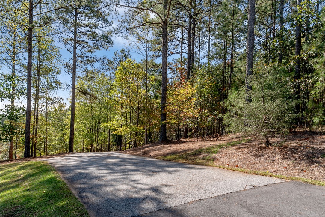 Lot 28 Spring Cove Way Six Mile, SC 29682 - Photo 2 of 17
