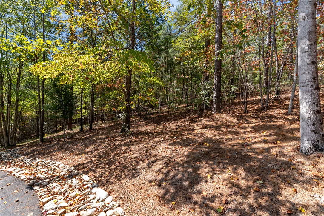 Lot 28 Spring Cove Way Six Mile, SC 29682 - Photo 3 of 17