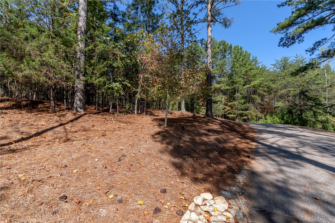 Lot 28 Spring Cove Way Six Mile, SC 29682 - Photo 4 of 17