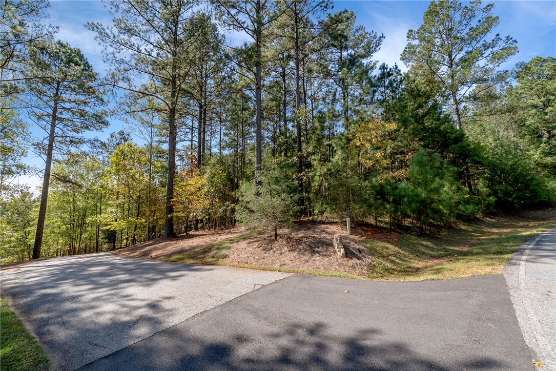 Lot 28 Spring Cove Way Six Mile, SC 29682 - Photo 6 of 17