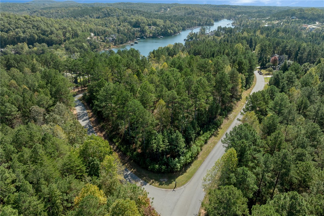 Lot 28 Spring Cove Way Six Mile, SC 29682 - Photo 7 of 17