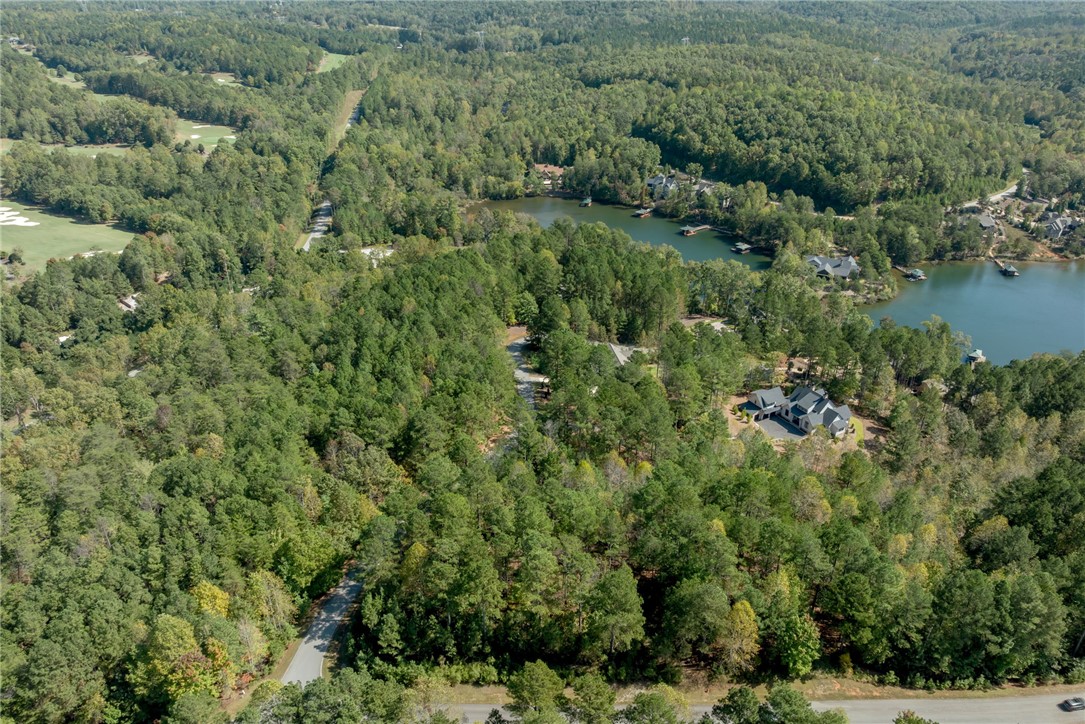 Lot 28 Spring Cove Way Six Mile, SC 29682 - Photo 8 of 17