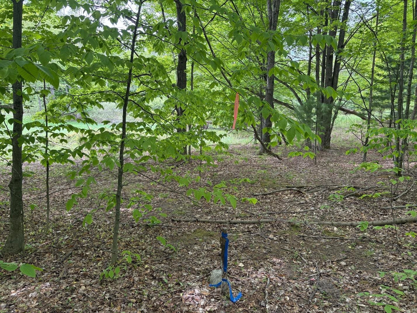 13631 Beaver Pond Road Empire, MI 49630 - Photo 35 of 55