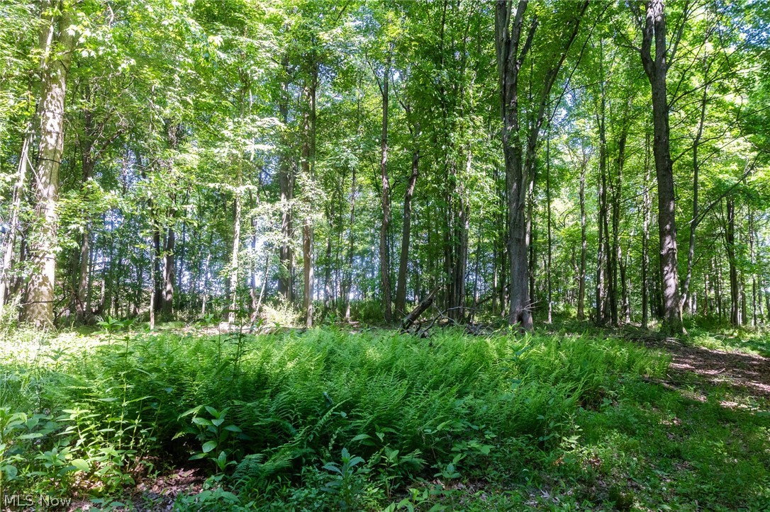 Ridge Road Minerva, OH 44657 - Photo 15 of 49