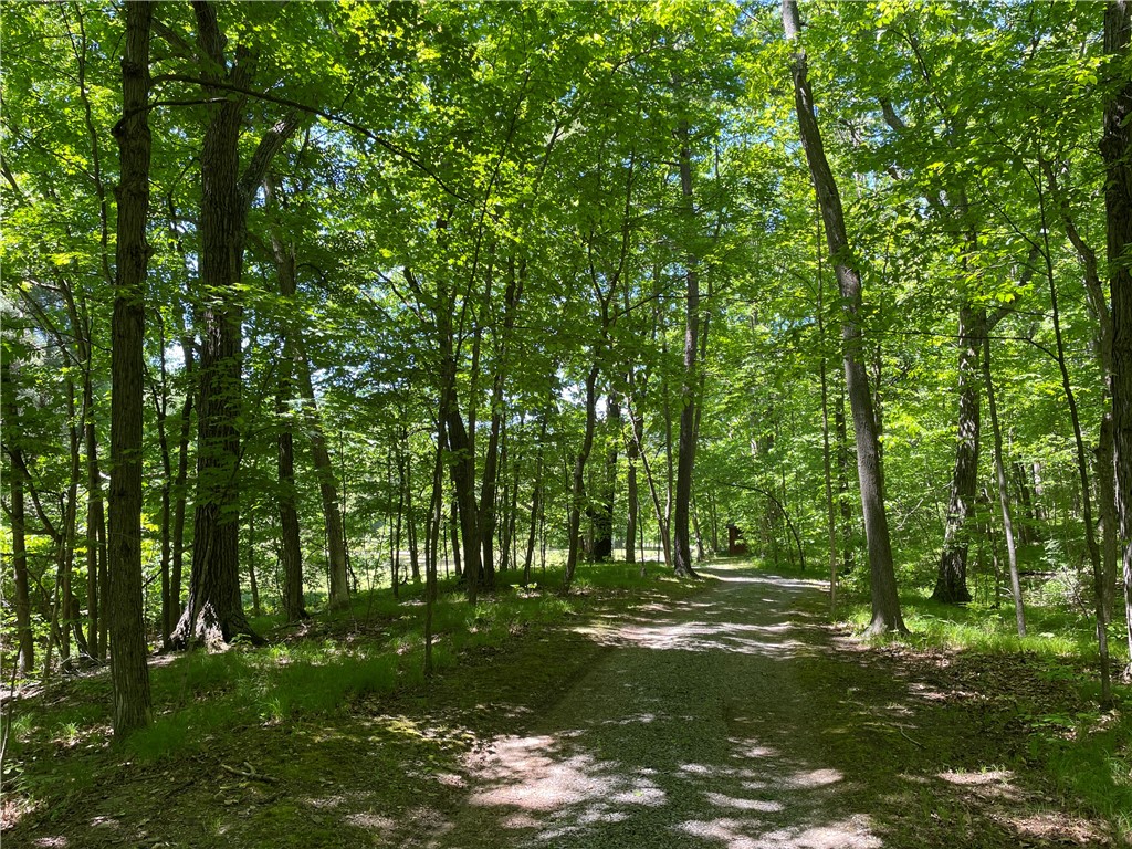 5087 Hagerty Road Middlesex, NY 14507 - Photo 33 of 37
