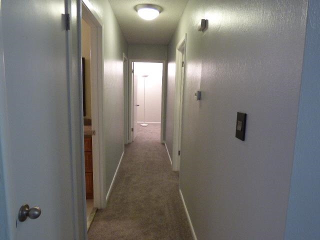 1805 Mayfair Road Tallahassee, FL 32303 - Photo 14 of 25