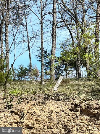 $110,000 | 116 Pettibone Drive, Petersburg, WV 26847