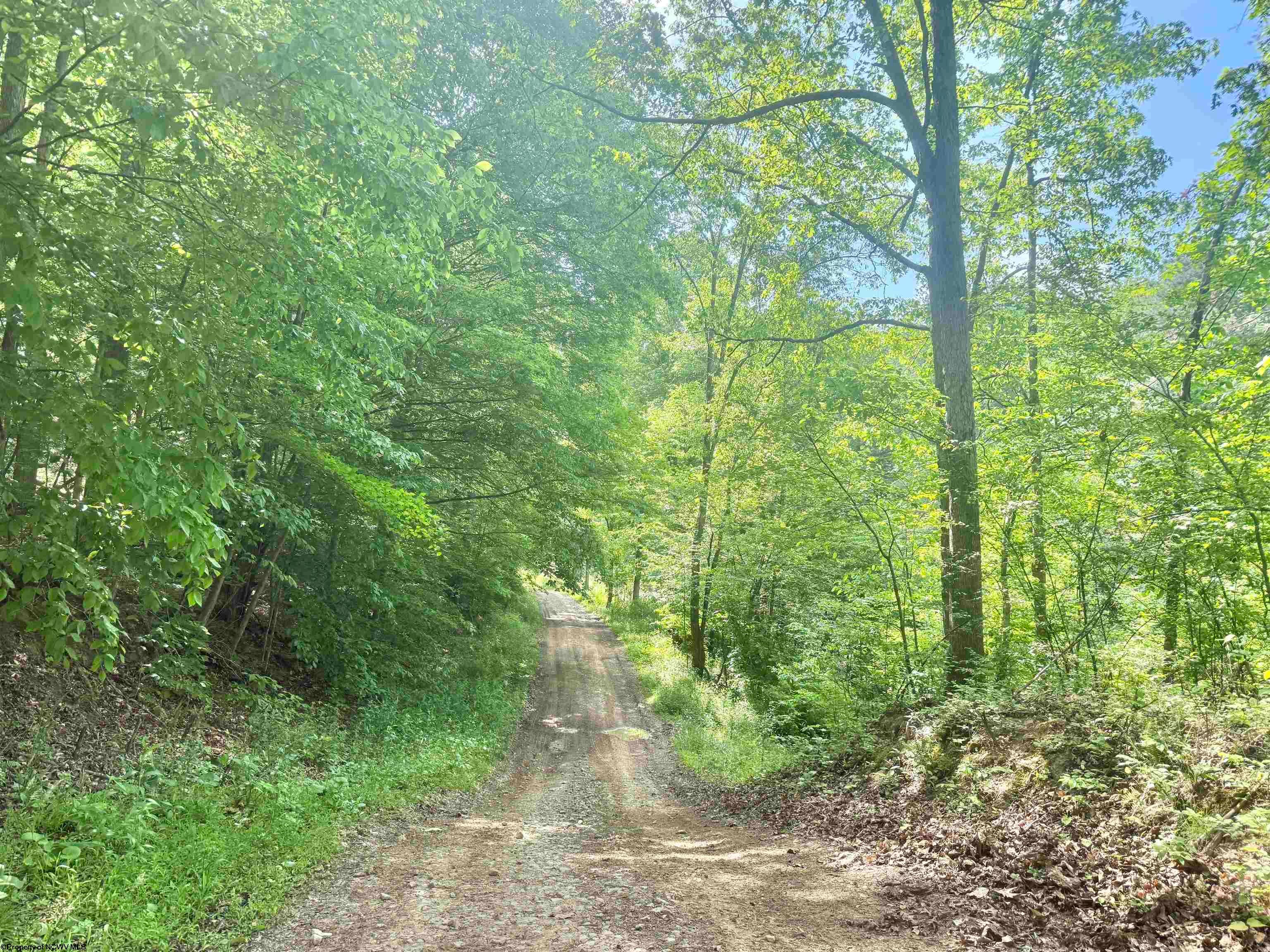 Tbd Big Pigeon Road Procious, WV 25164 - Photo 48 of 49 Gallery Image 48