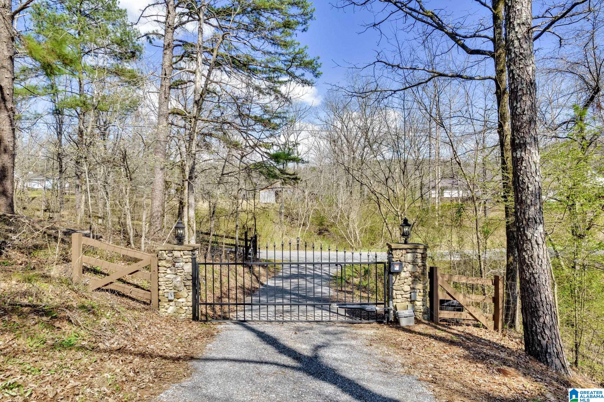 175 Skyview Trail Trafford, AL 35172 - Photo 33 of 50