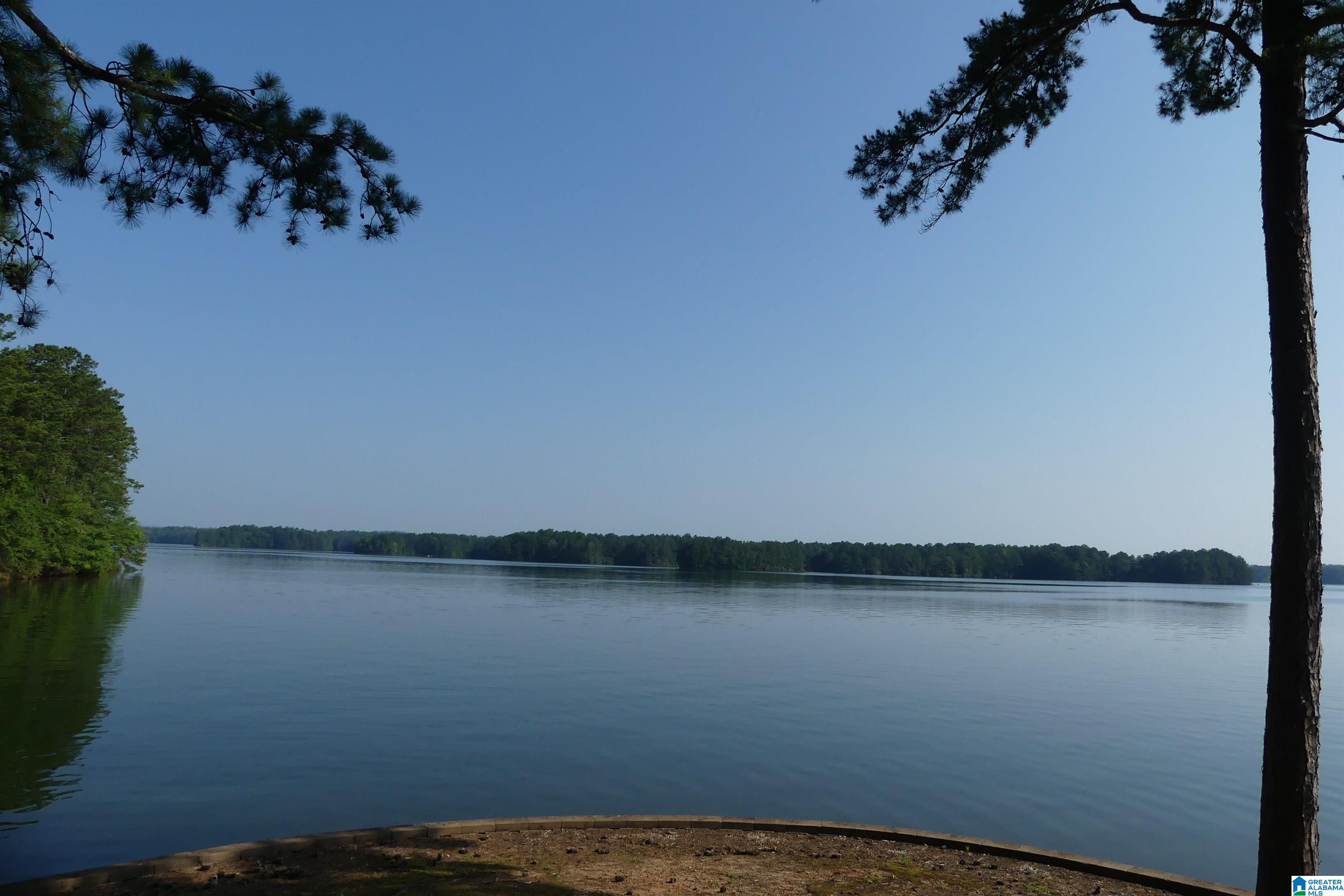 5338 County Road 804 Wedowee, AL 36278 - Photo 5 of 12