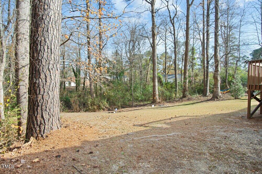 204 Barbour Road Smithfield, NC 27577 - Photo 33 of 38 33-Image-33