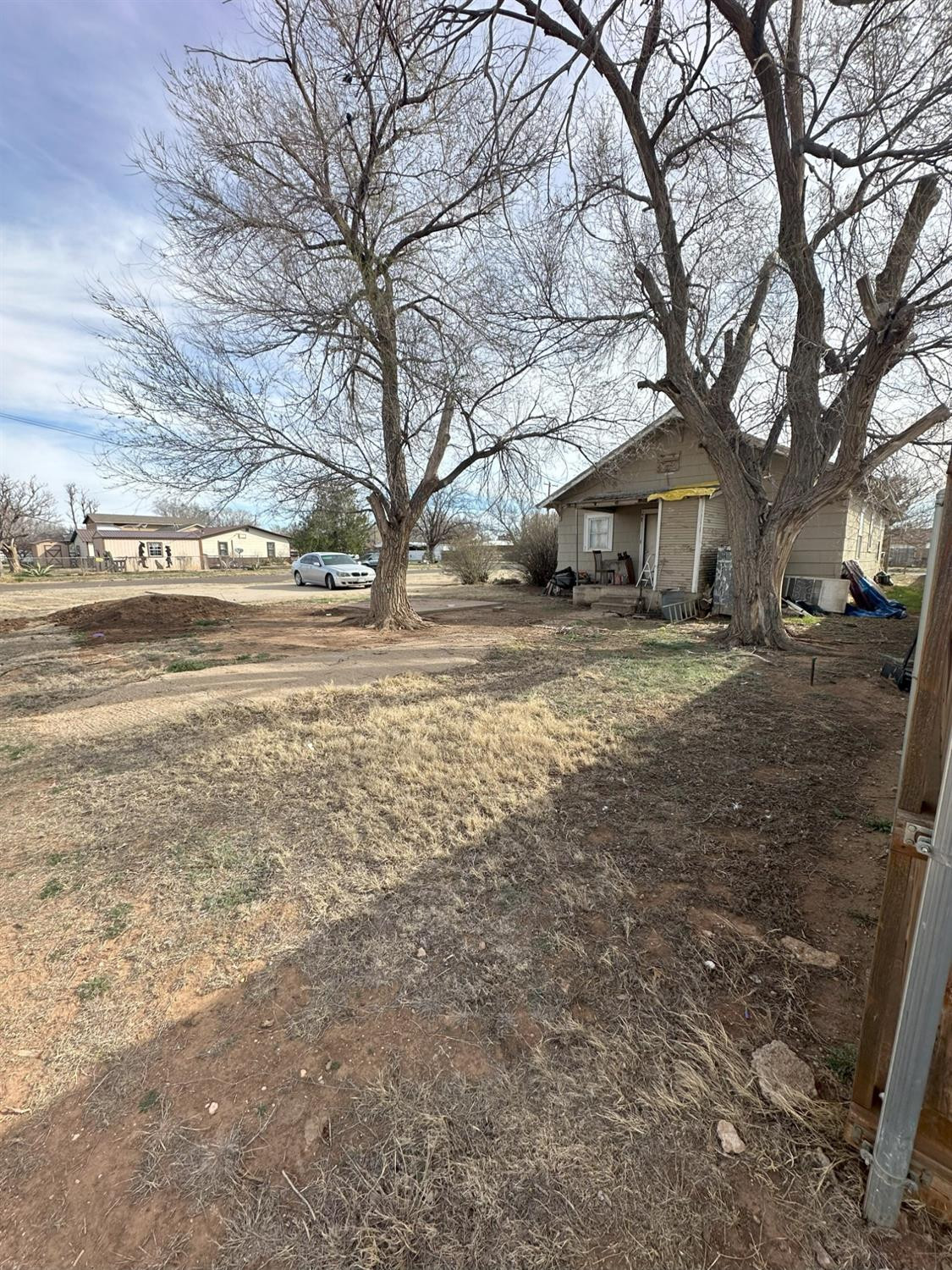 115 Yonkers Street Plainview, TX 79072 - Photo 7 of 20 a view of a yard with a large tree