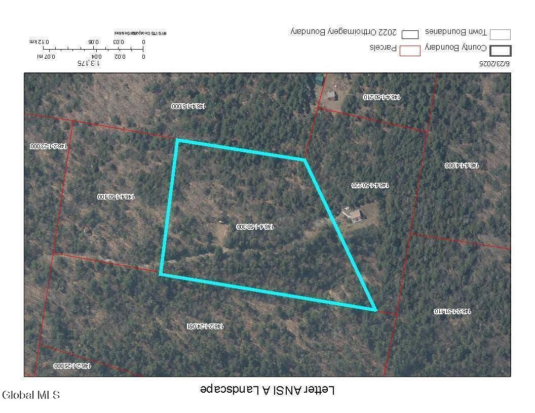 51 Sams Road Schroon, NY 12870 - Photo 18 of 19 Aerial Map (2)