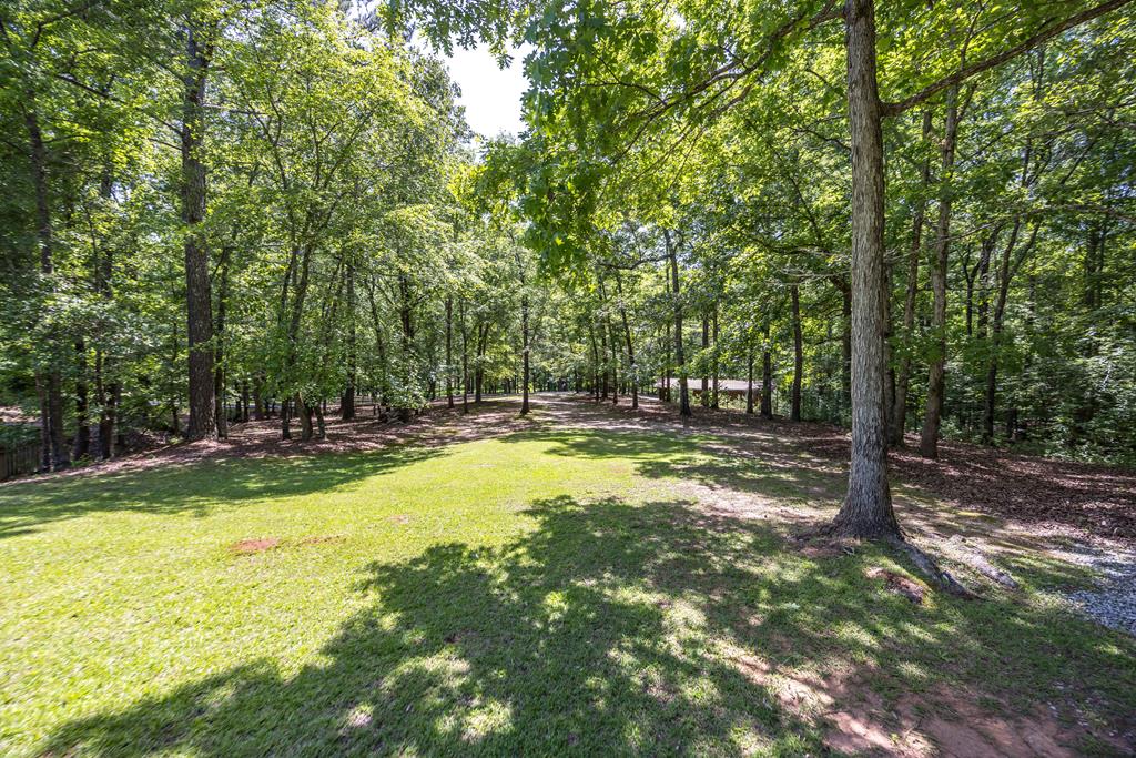 12225 County Line Road Midland, GA 31820 - Photo 64 of 66 Gallery Image 64