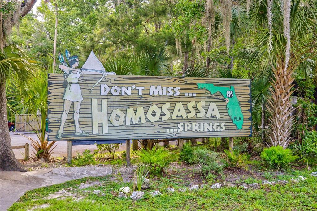 4586 Flambeau Loop Homosassa, FL 34448 - Photo 74 of 80