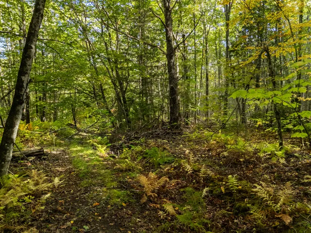 $75,000 | Lot #3 Millay Lane, Union, ME 04862