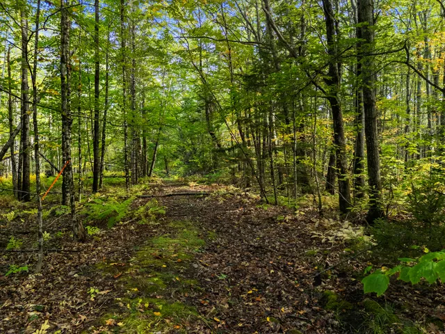 $75,000 | Lot #3 Millay Lane, Union, ME 04862