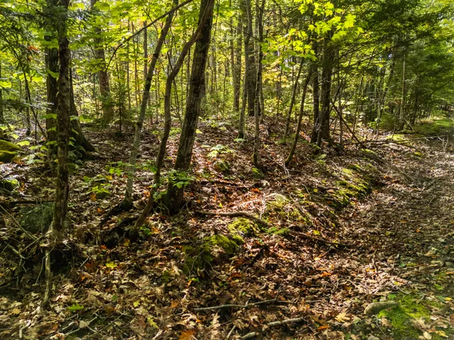 $75,000 | Lot #3 Millay Lane, Union, ME 04862