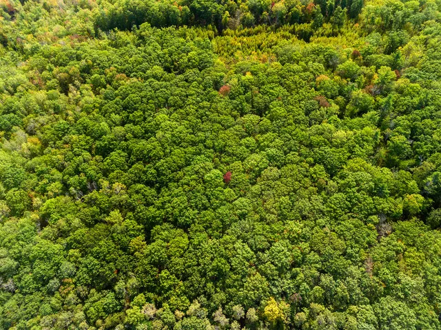 $75,000 | Lot #3 Millay Lane, Union, ME 04862