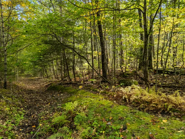 $75,000 | Lot #3 Millay Lane, Union, ME 04862