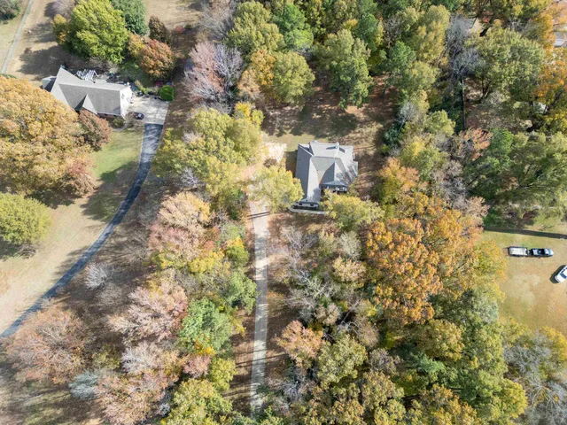 a close up of a tree