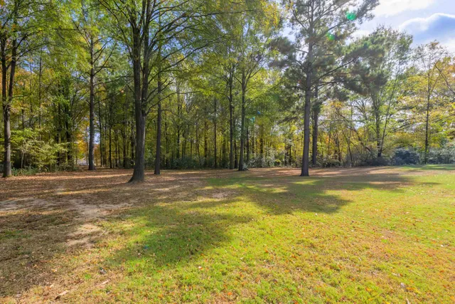 a view of swimming pool with large trees