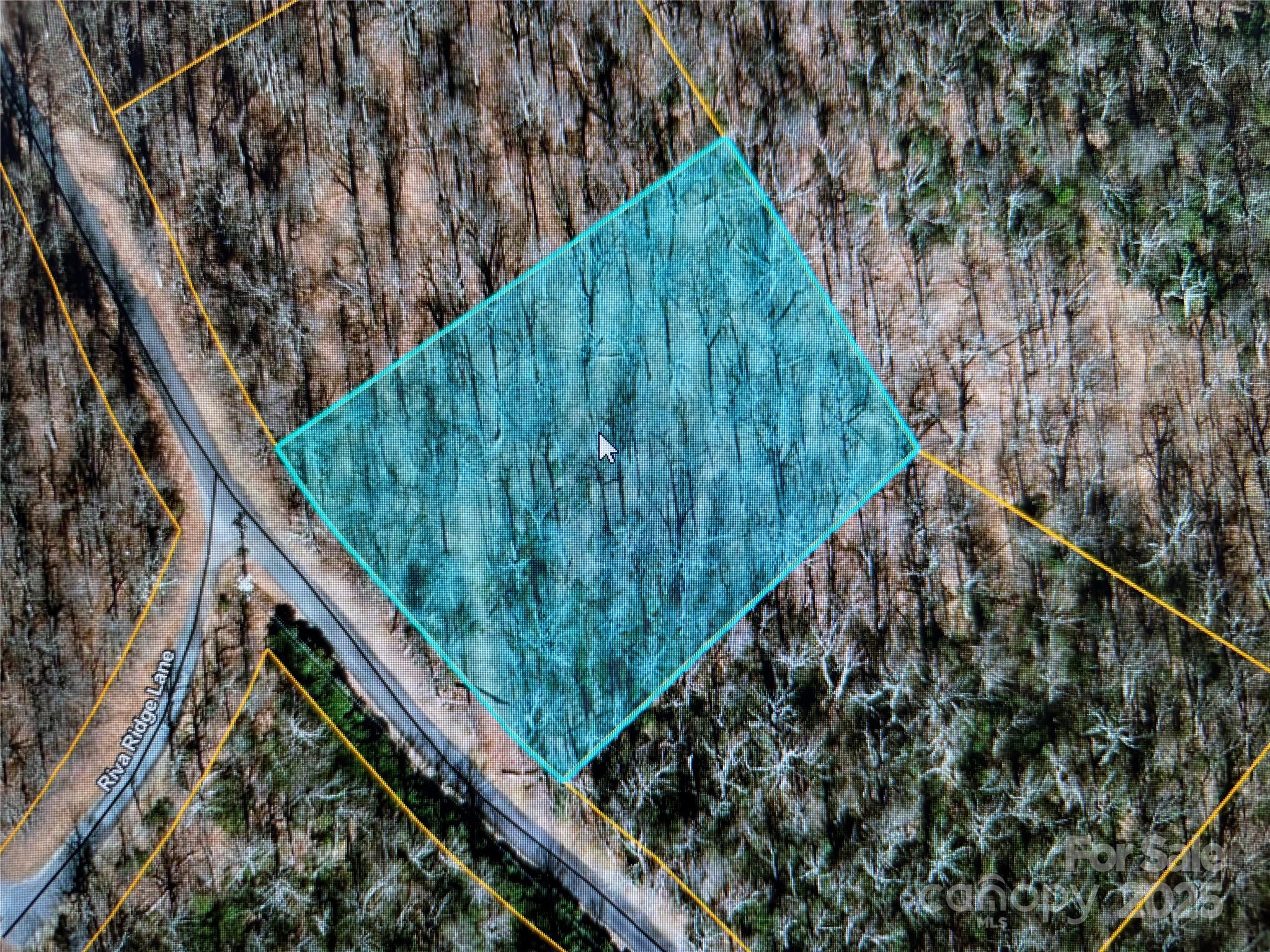 0 Sunset Ridge Drive, Unit LOT#11 Columbus, NC 28722 - Photo 1 of 10 a view of a backyard