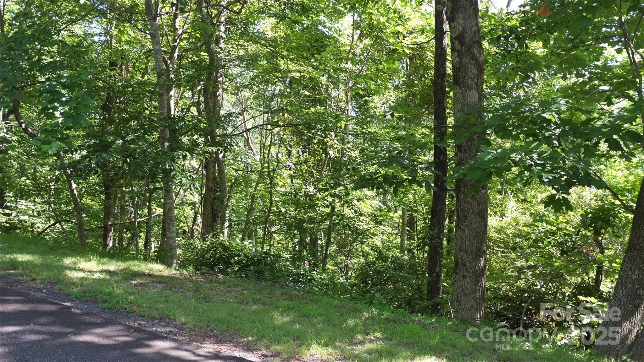 0 Sunset Ridge Drive, Unit LOT#11 Columbus, NC 28722 - Photo 2 of 10 a view of a lush green forest