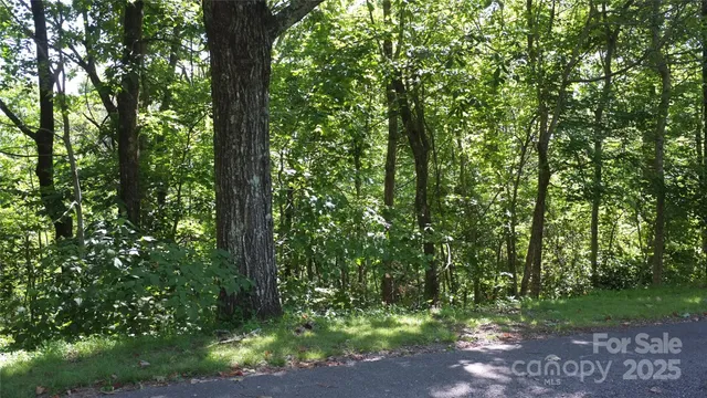 a view of outdoor space and trees