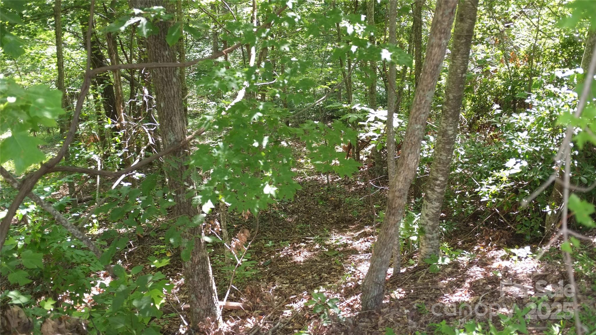0 Sunset Ridge Drive, Unit LOT#11 Columbus, NC 28722 - Photo 4 of 10 a view of a tree