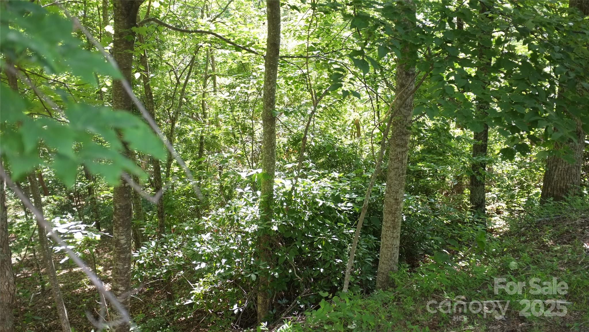 0 Sunset Ridge Drive, Unit LOT#11 Columbus, NC 28722 - Photo 5 of 10 a view of a lush green forest