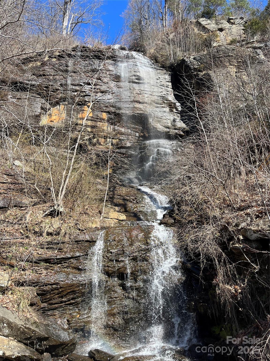 0 Sunset Ridge Drive, Unit LOT#11 Columbus, NC 28722 - Photo 10 of 10 a view of a yard