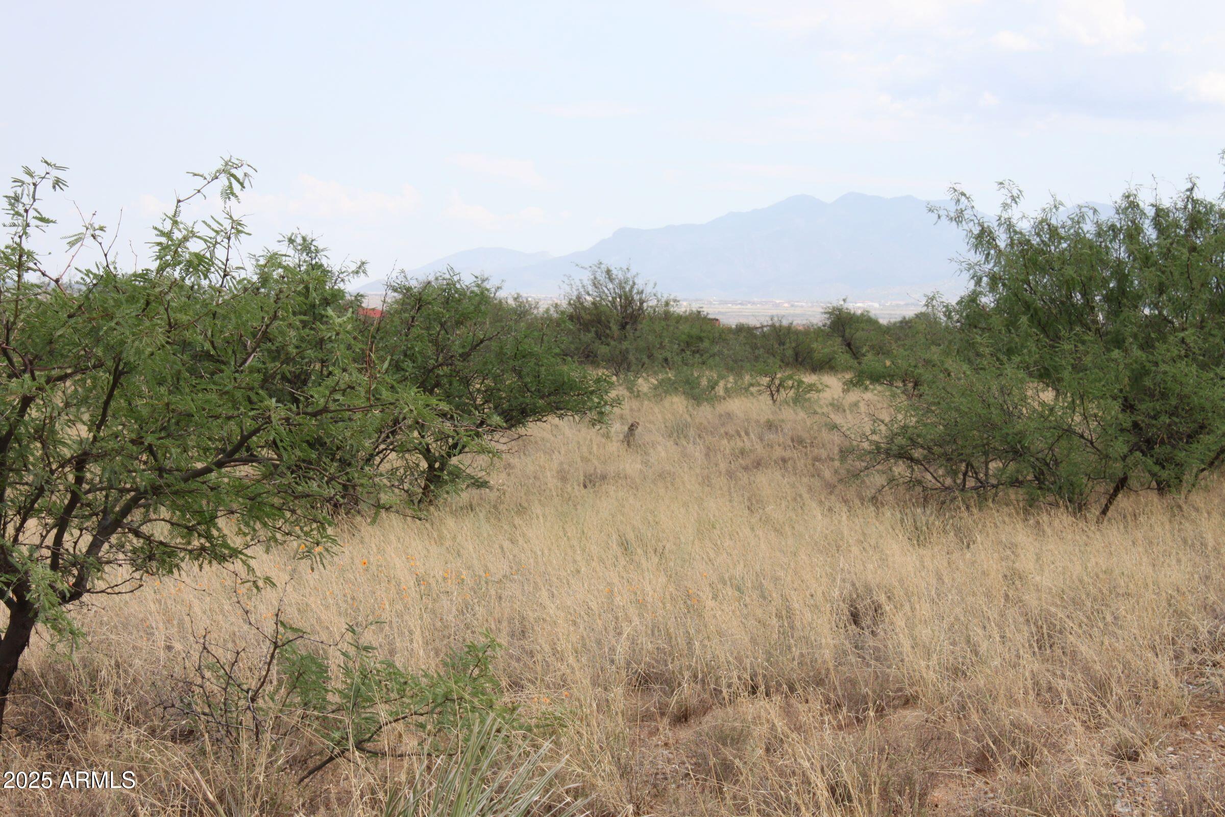 19 B West Copper Sky Road, Unit 6 Huachuca City, AZ 85616 - Photo 3 of 14 IMG_0079