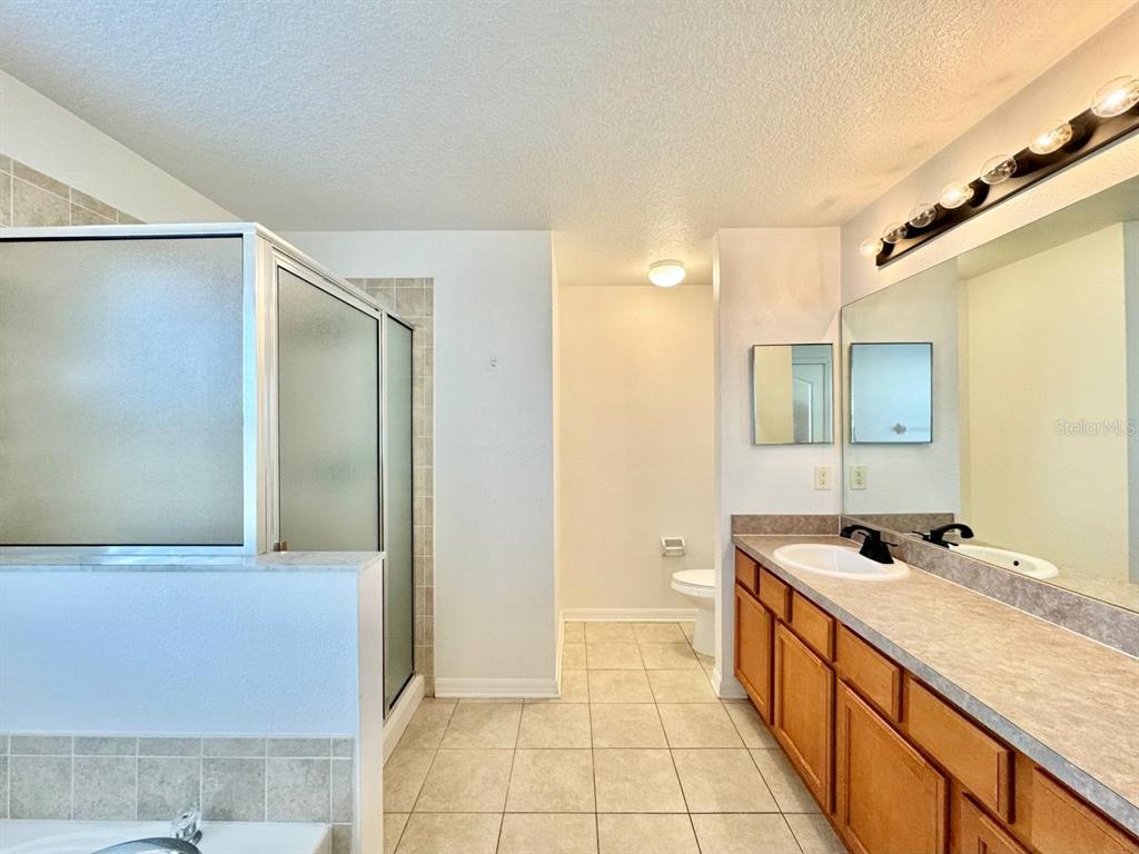 10545 Shady Falls Court Riverview, FL 33578 - Photo 28 of 36 a spacious bathroom with a granite countertop sink and a mirror