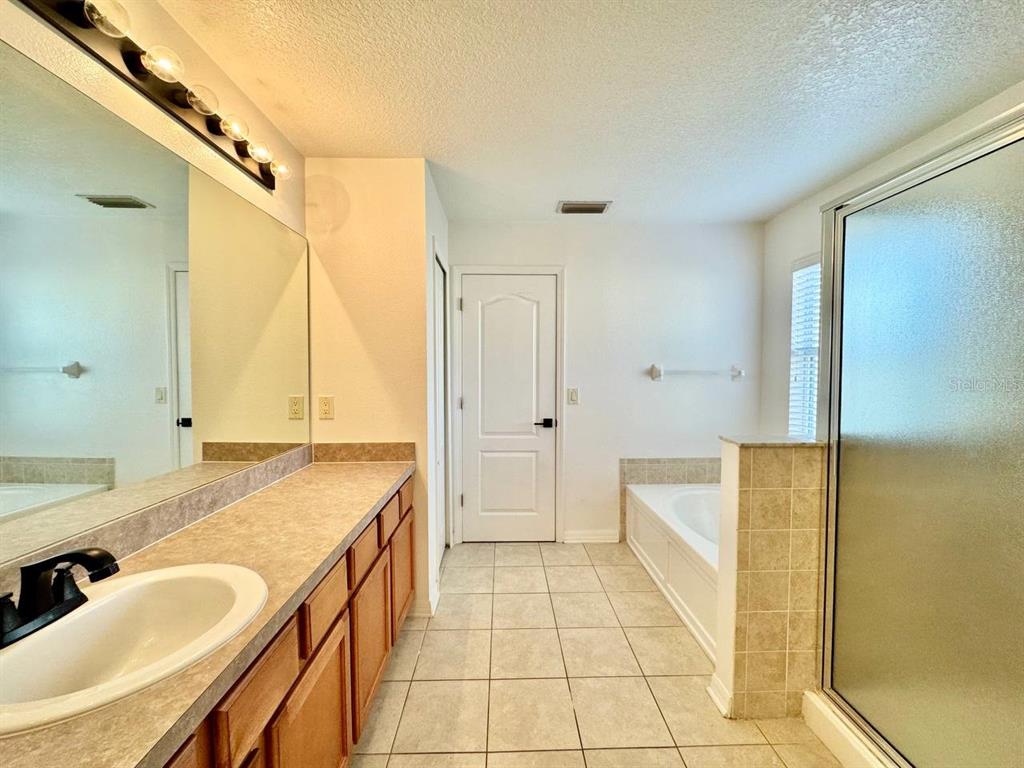 10545 Shady Falls Court Riverview, FL 33578 - Photo 31 of 36 a bathroom with a granite countertop sink a mirror and a bathtub