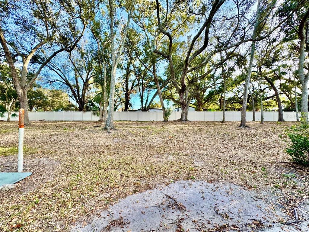 10545 Shady Falls Court Riverview, FL 33578 - Photo 34 of 36 a view of empty yard with trees