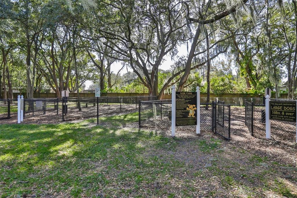 10545 Shady Falls Court Riverview, FL 33578 - Photo 35 of 36 a view of a backyard with large trees