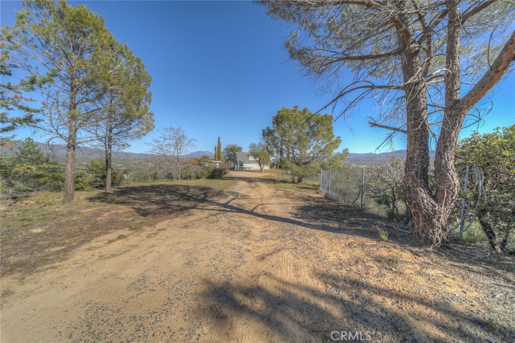 51201 Deer Mountain Way Anza, CA 92539 - Photo 40 of 65 a view of a yard with a tree