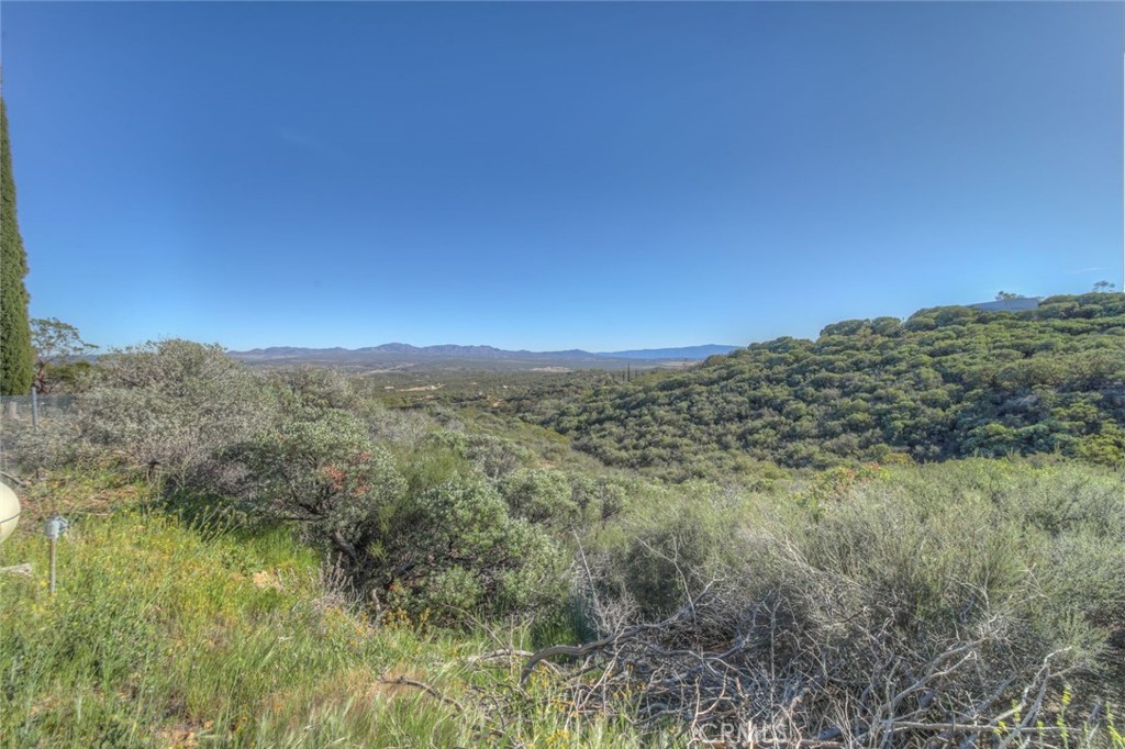 51201 Deer Mountain Way Anza, CA 92539 - Photo 43 of 65 a view of a forest with trees in the background