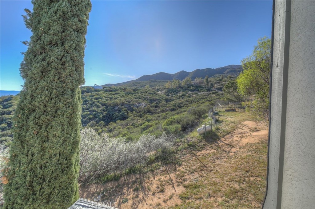 51201 Deer Mountain Way Anza, CA 92539 - Photo 47 of 65 a view of a yard with a tree in the background