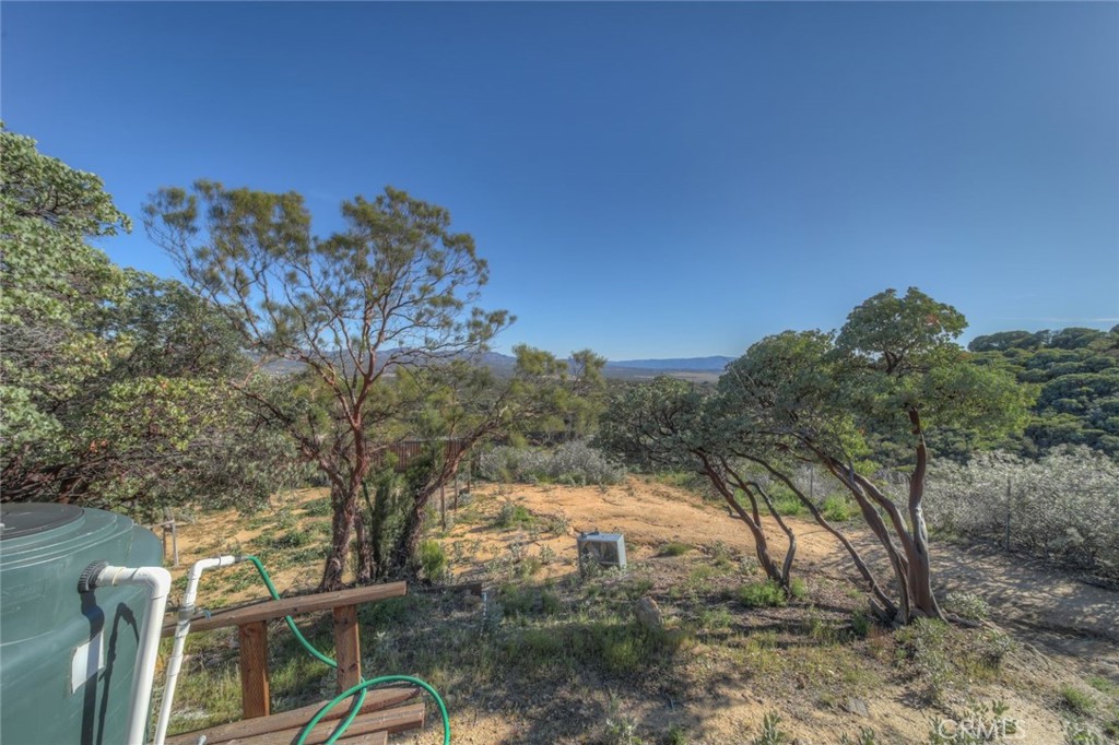 51201 Deer Mountain Way Anza, CA 92539 - Photo 50 of 65 a view of a yard with a tree